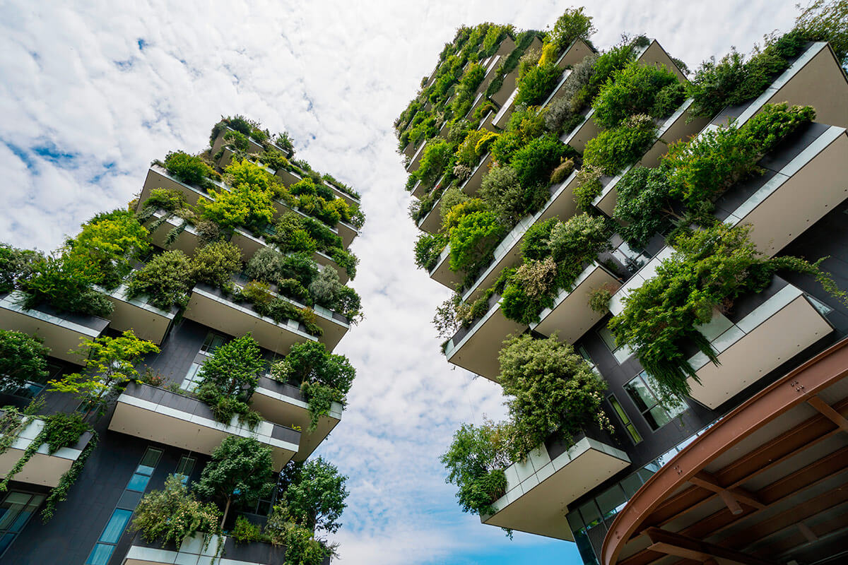 Bioarquitectura y el ahorro de energía